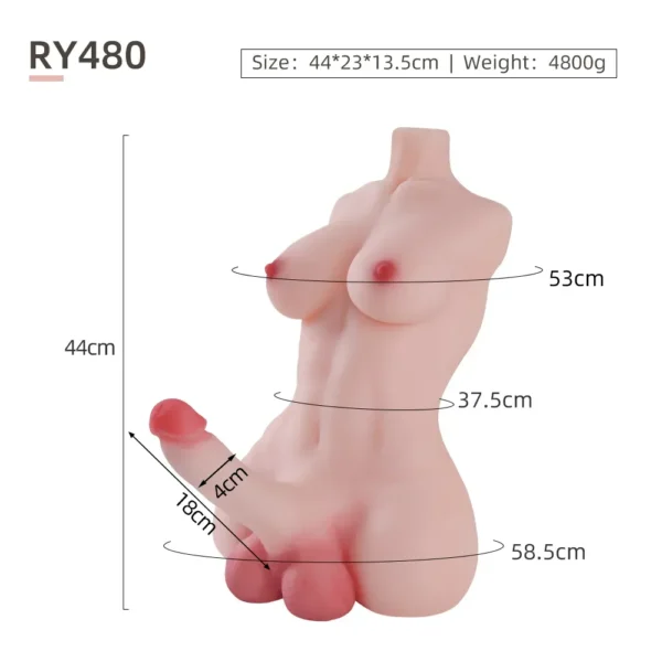 Adult Torso Sex Doll Toys – Realistic Male Companion for Men [US IN STOCK] - Image 2